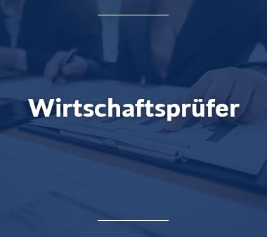 Wirtschaftsprüfer Fachinformatiker