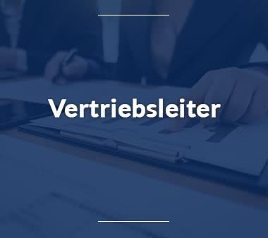 Business Analyst Vertriebsleiter