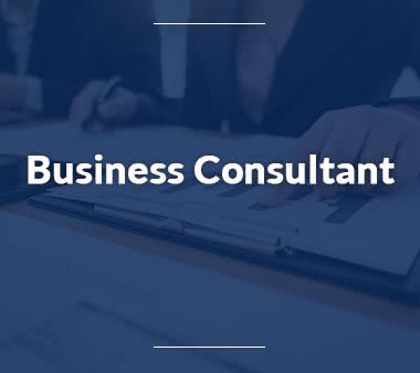 Business Consultant