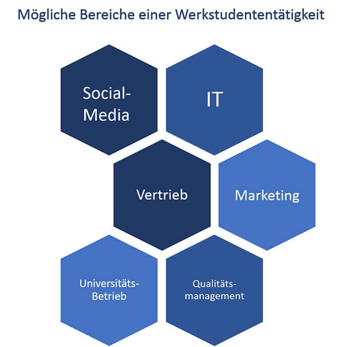 Werkstudententätigkeit-Aufgaben-Bereiche