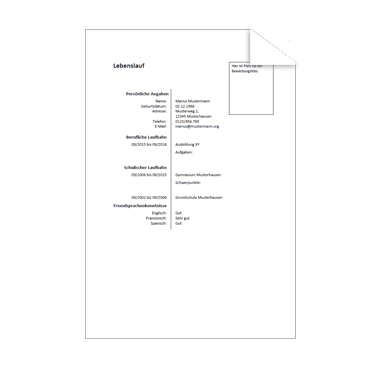 Lebenslauf Muster Minimalistisch