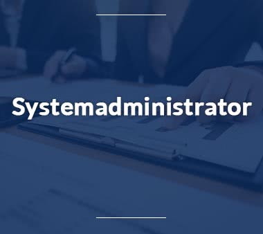 Supply Chain Manager Systemadministrator