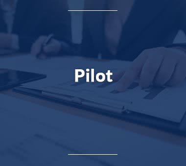 Fluglotse Pilot