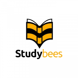 Prüfungsvorbereitung Studybees