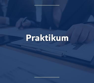 Praktikum Jobs