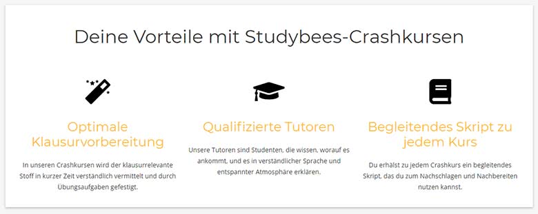 Studybees Crashkurse Vorteile