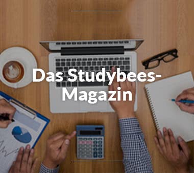 Studybees Magazin