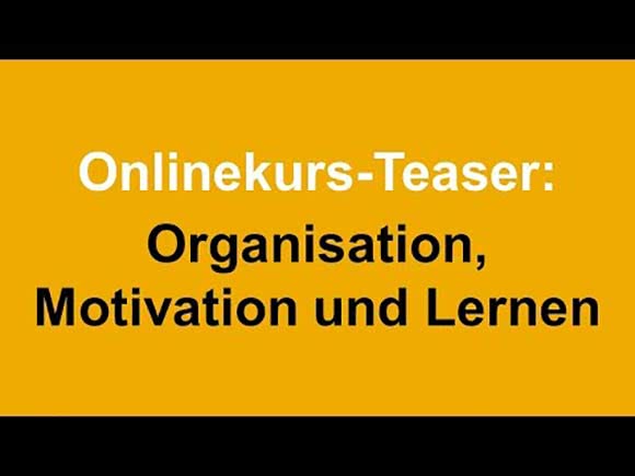 Studybees Online Kurs Organisation